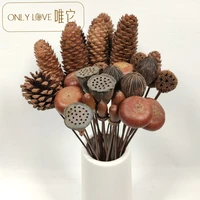 10pcs dried pine nuts natural dried fruit acorn lotus root nordic home decoration photos props decoration luxury festival