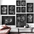 Картина на холсте с изображением анатомии человека, медицинский настенный постер в стиле ретро, с изображением скелета, органов, мышц, черного и белого цветов, для обучения телу