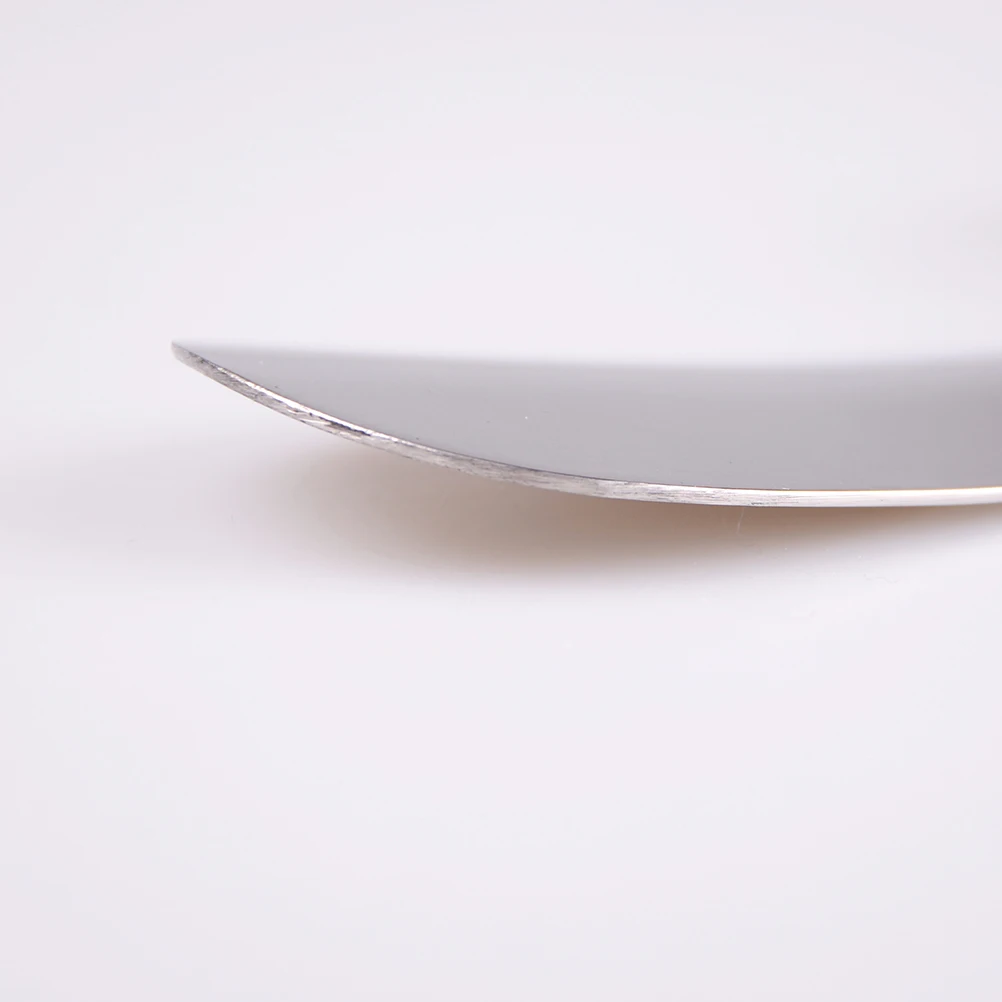 

1 Pcs Professional Shoehorn 15 Cm Stainless Steel Metal Shoe Horn Spoon Shoehorn Shoes Lifter Tool