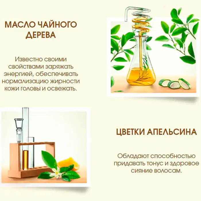Garnier Botanic Therapy Шампунь "Масло чайного дерева цветки апельсина алоэ вера" для