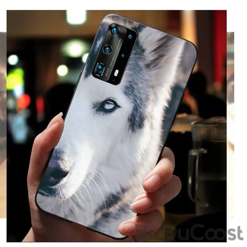 

Husky cute black Phone Case Hull For Huawei P9 10 20 30 40 P Smart 20lite 2019 P30 lite Pro P9 lite 2017