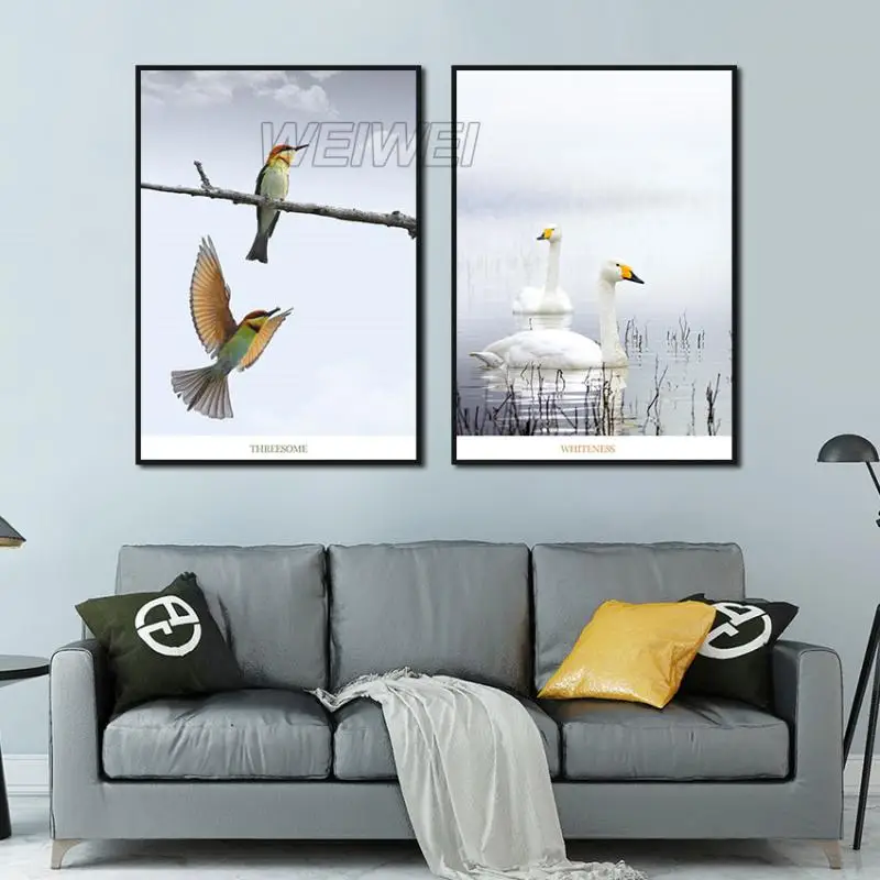 

Animal Home Decoration Canvas Painting White Swan Yellow Bird Hd Print Picture for Bedroom and Living Room Frameless Style