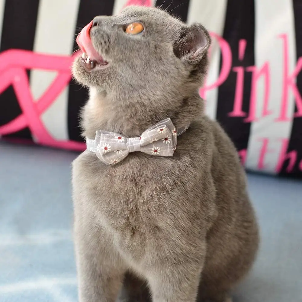 Ошейник для кошек с колокольчиком и галстуком бабочкой бандана цветочным