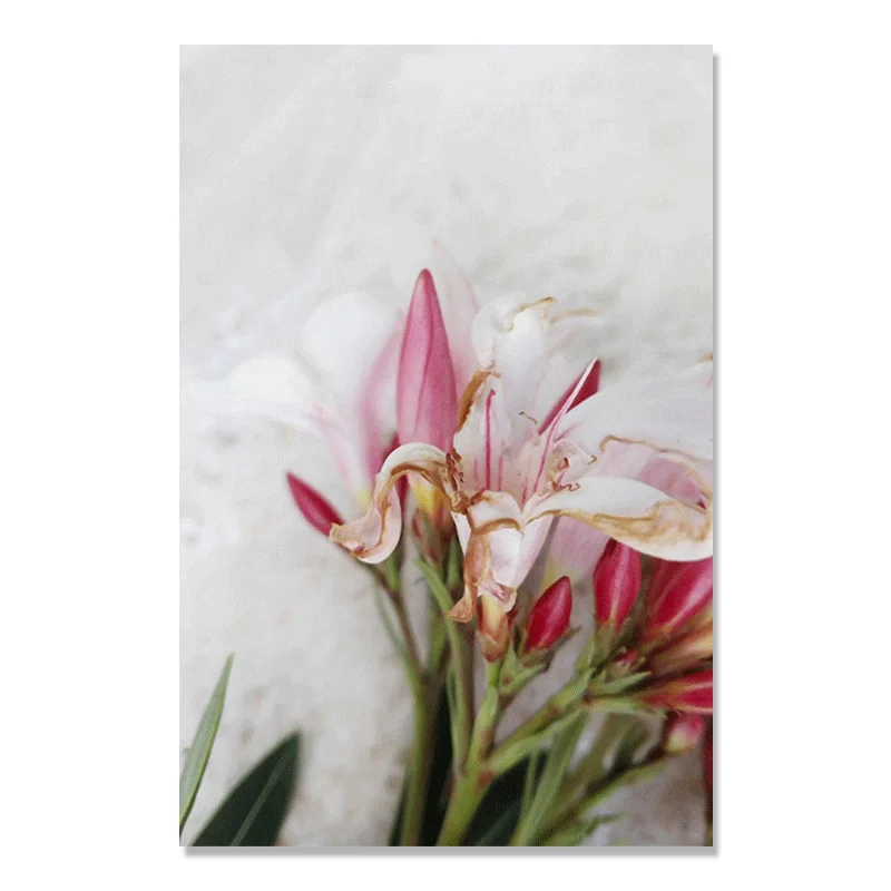 Суккулентные растения куадро декорацион цветы лилии скандинавский постер