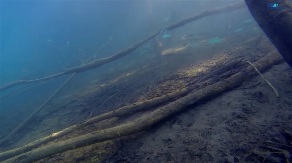 ThorRobotics подводный Дрон камера дроны Trenchrover110 ROV подводный робот фотография