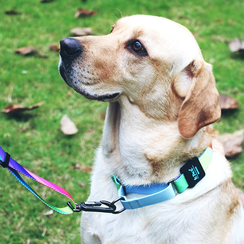 Нейлоновый ошейник для собак наполовину P цепь с принтом маленьких и щенков