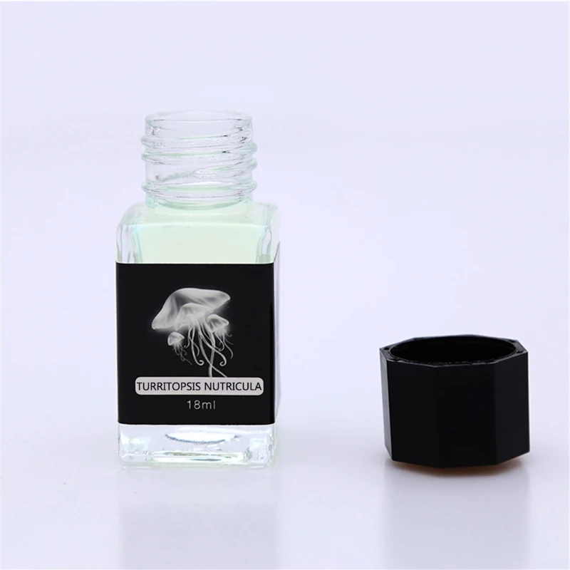 

2021 New 18ml Non-Carbon Magic Invisible Ink For Fountain Glass Dip Pen