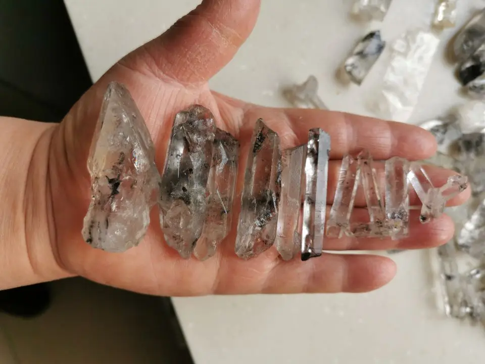 1/4lb Природный редкий молибденита образец кристалла кварца|fossil|fossil fossilsfossil fish |