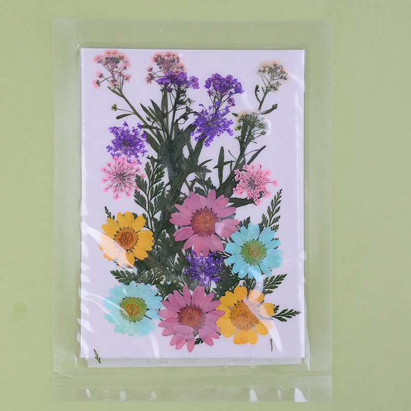 Сушеные цветы прессованные сделай сам сохраненный цветок УФ полимер украшение