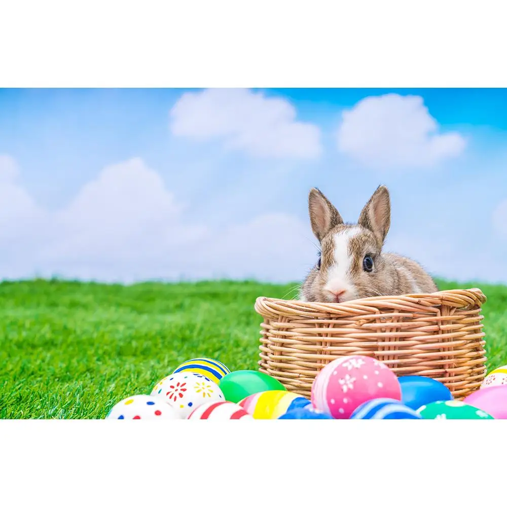 

Vinyl Photography Backdrops Prop scenery+ Flower and Wooden Planks Photography Background 190117SK-009