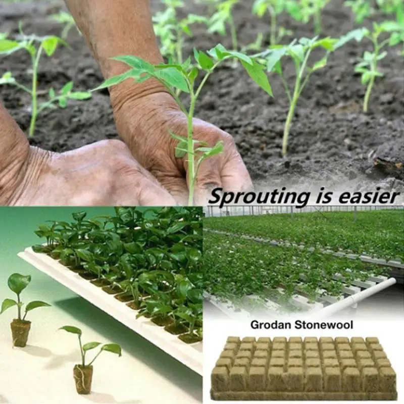 

100/50pcs Garden Art Rockwool Sheet Block Propagation Cloning Seed Raising Soilless Cultivation Hydroponic Rock Wool Cubes