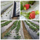 Светоотражающая пластиковая пленка для мульчи, чехол для ухода за садовыми фруктами и растениями, 25 м, 0,012 мм, серебристый, черный