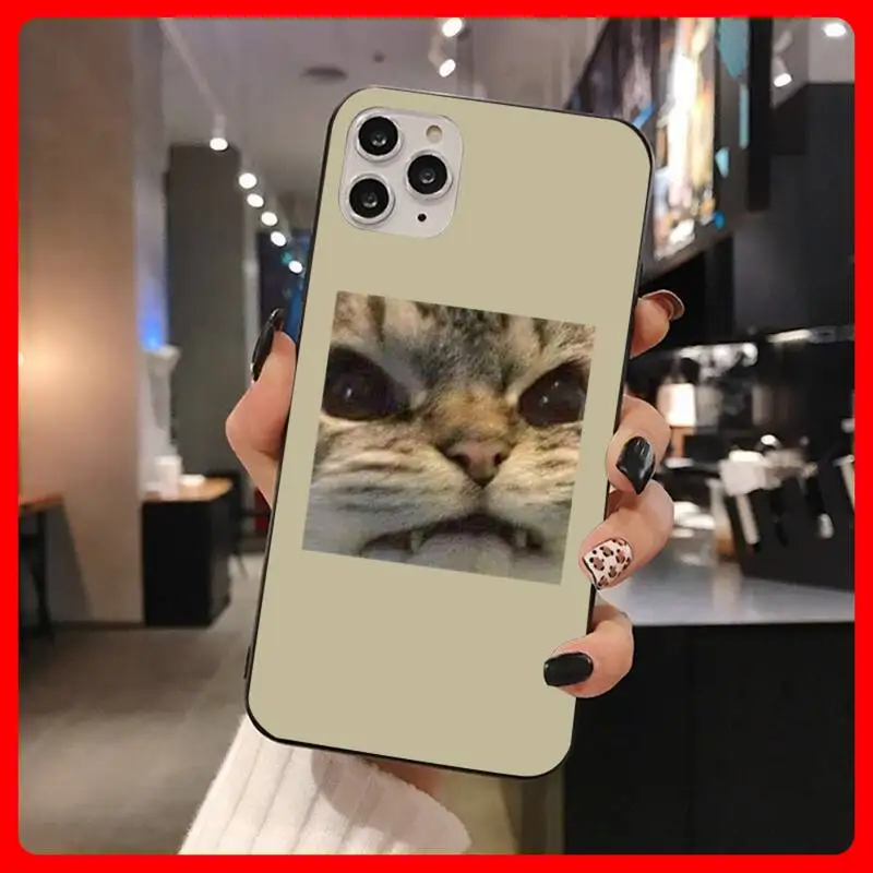 

Lovely Cat Brow Looks Phone Case For Black-Iphone 5s Se 6 6s 7 8 11 12 X Xs Pro Plus Mini Max Fundas Cover Fundas Cover