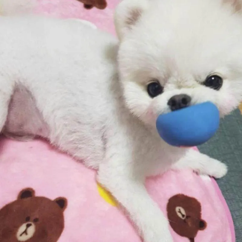 Резиновая собака игрушки для домашних животных играть скрипучий мячик жевания