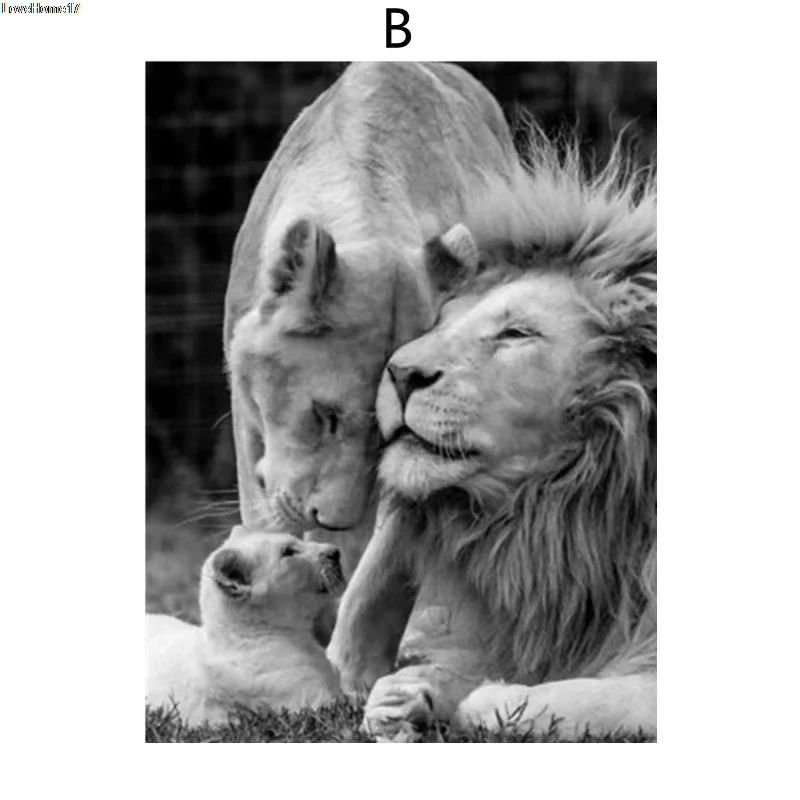 

Lion Animal Wild Black Background Modern Classic Art Modern Fashion Room Decoration Frameless Canvas Oil Painting Poster