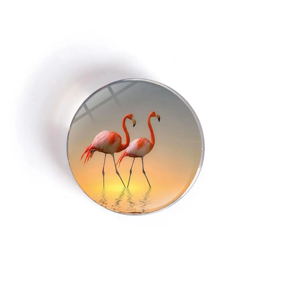 QIYUE мультяшный Фламинго Магнитный хрустальный круглый стеклянный стикер для