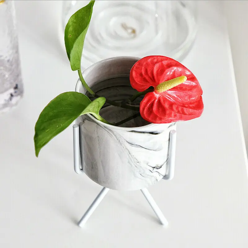 2019 Мини пластиковый цветочный горшок для суккулентов украшение дома и офиса