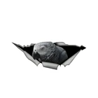 Африканский серый попугай слезы Автомобильная наклейка. Личные товары, красивые портативные фотообои, ПВХ, автозапчасти для анимации
