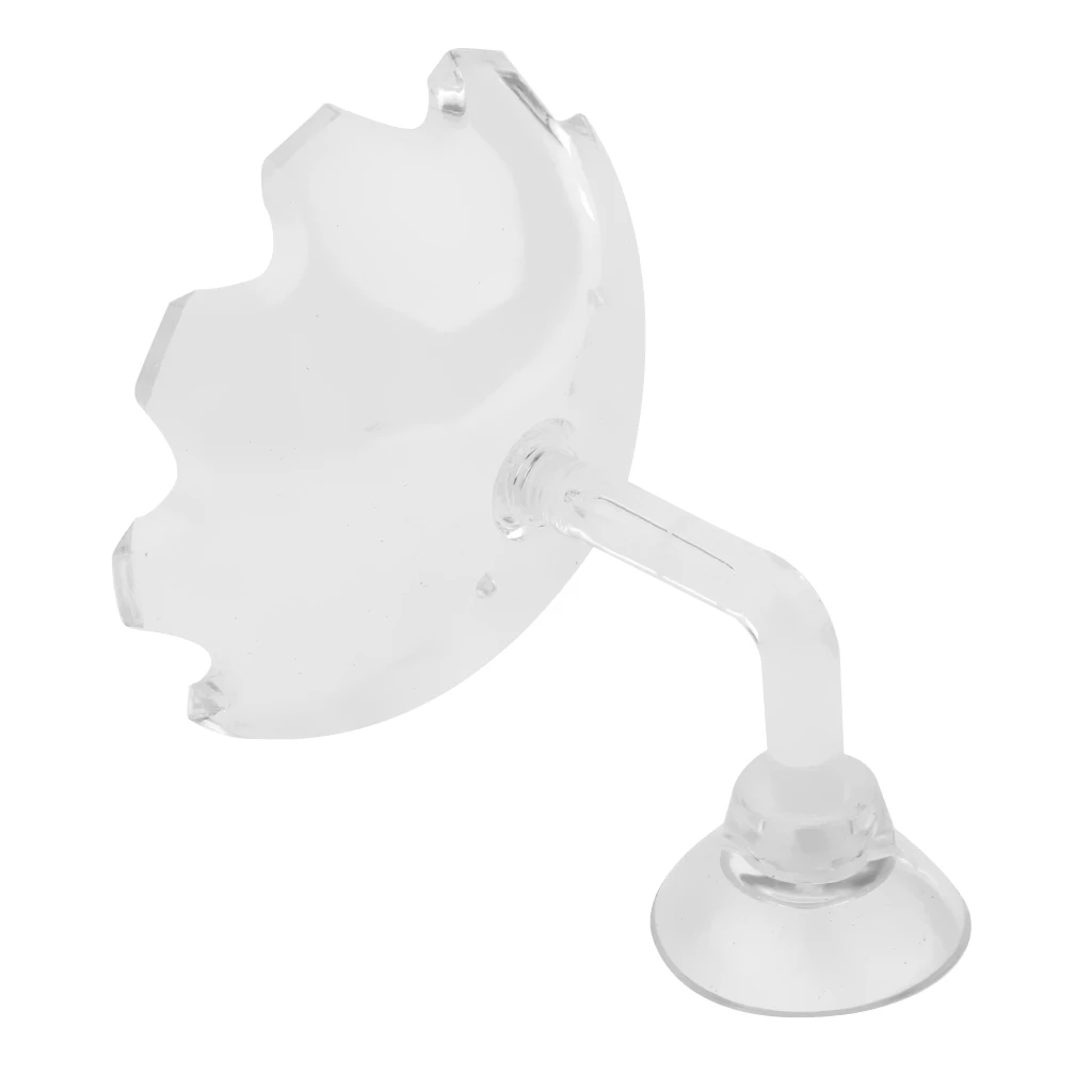 Блюдо для кормления креветок прозрачная фотография тропической рыбы