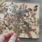 Прозрачные наклейки для скрапбукинга, 38 шт.