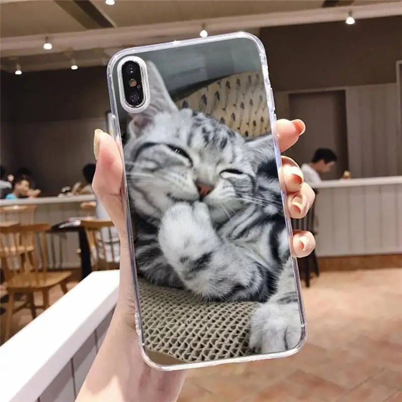 

Cute Animal Cat shell Phone Case Transparent soft For iphone 5 5s 5c se 6 6s 7 8 11 12 plus mini x xs xr pro max