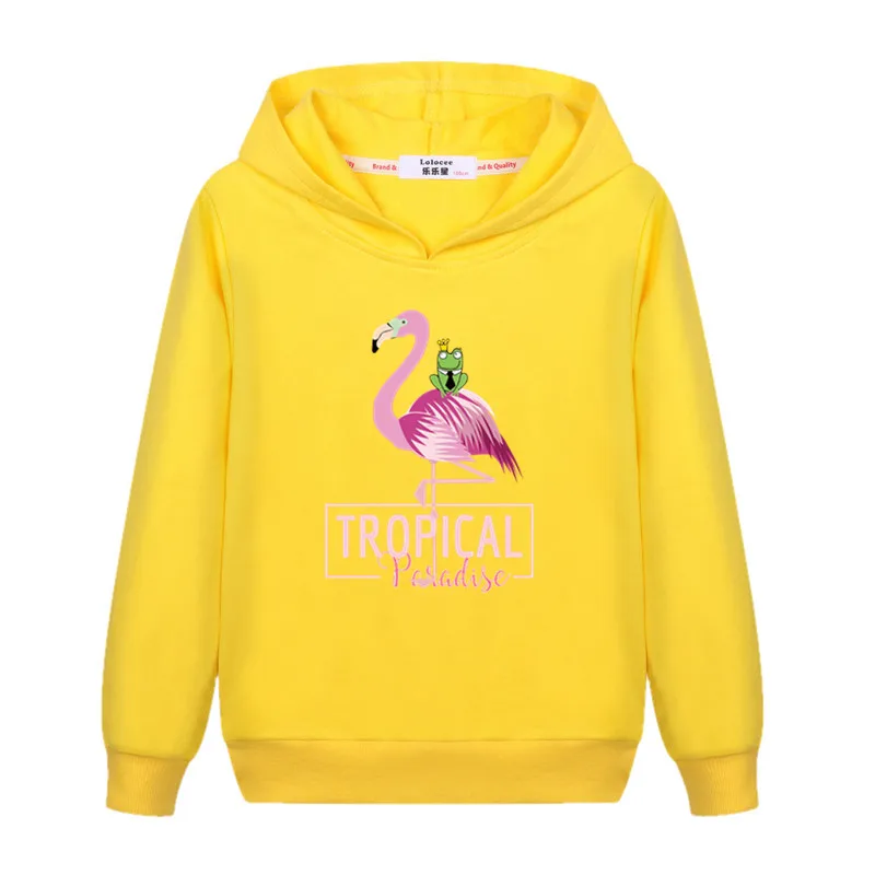

Flamingo &Frog Prince cartoon tops baby girl boy Hoodie Fashion cotton sweatshirt Kids casual winter clothes fun graphic sweater