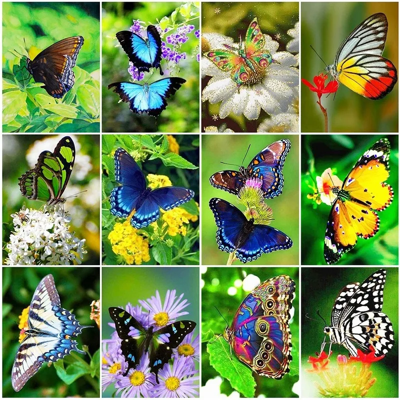 

5D DIY Diamond Painting Kits Full Round With AB Drill Butterfly Flower Embroidery Cross Stitch Rhinestone Mosaic Art Home Decor