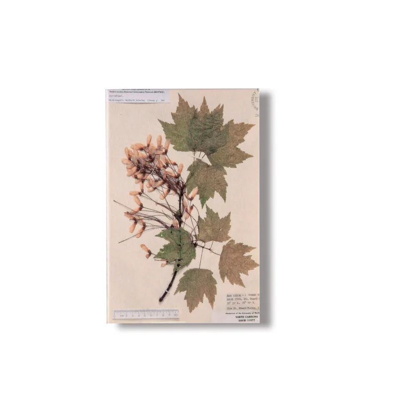 

30 pcs/lot Secret Forest Series Decorative Stickers Scrapbooking Stick Label Diary Stationery Album Vintage plant flower sticker