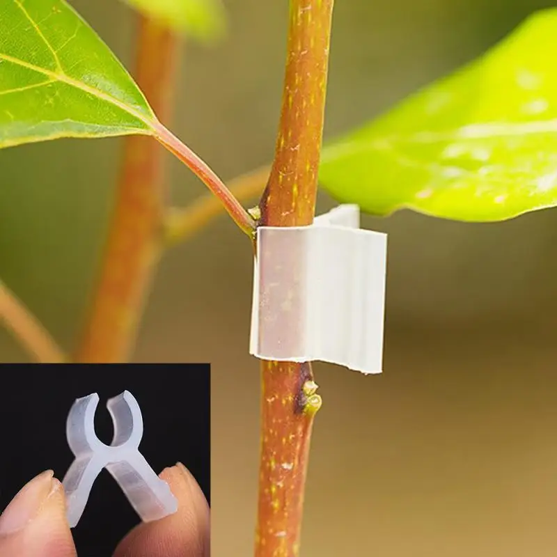 

100 шт., пластиковые зажимы для растений