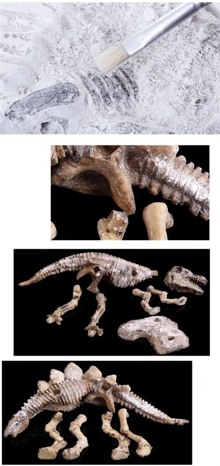 

[ Funny ] Child archaeologist Dig Up Jurassic Dinosaurs T-Rex and stegosaurus sets model students Scientific learning teach toy