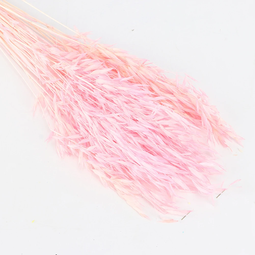 Pink Натуральный сушеный свежий цветок пучок консервированный цветок DIY цветок Свадебный фон настенный цветок пшеницы украшение - Цвет: Pink
