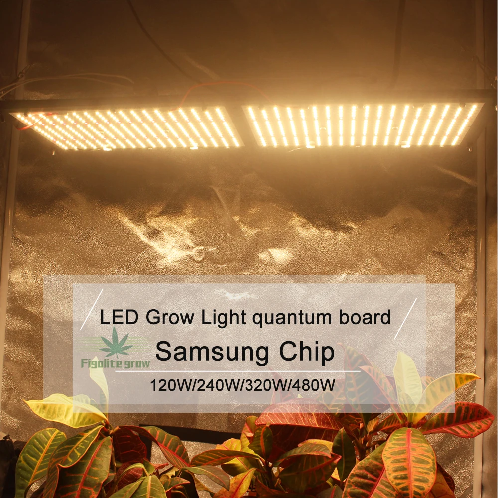 Figolite grow Квантовая доска с регулируемой яркостью УФ ИК светодиодный светильник для выращивания QB288 LM301B 120 Вт 240 Вт 320 Вт 480 Вт с драйвером Meanwell 7 лет гарантии