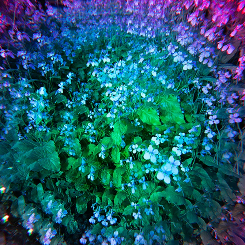 

67 72 77 82mm Colorful Kaleidoscope Camera Filter Photography Accessories Prism Nd UV Variable Object SLR FX prismlens Filter