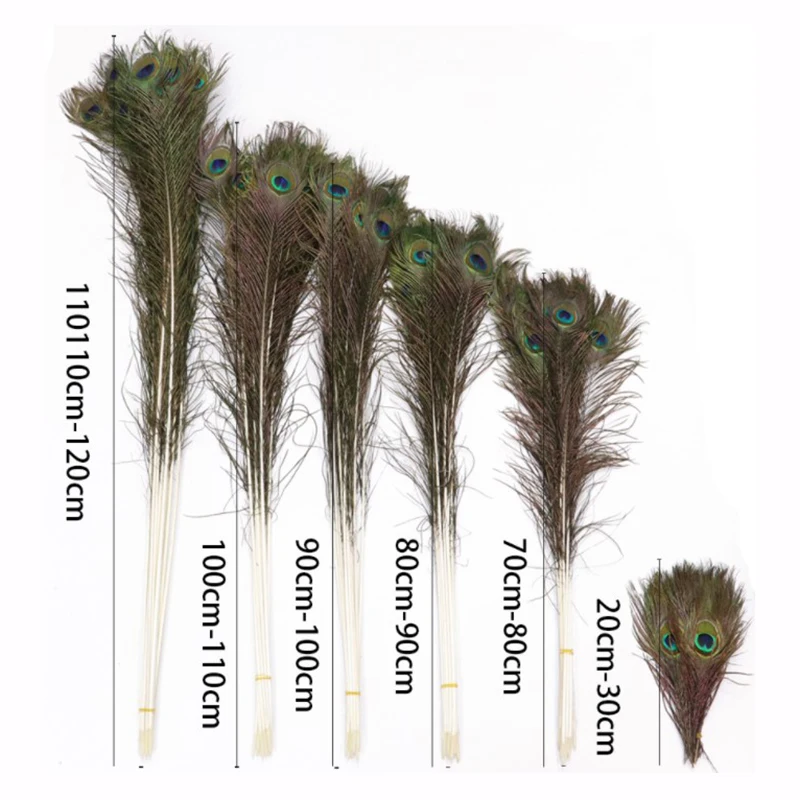 

10-100PcsTop Quality Beautiful Natural Peacock Feather Diy Jewelry Decorative