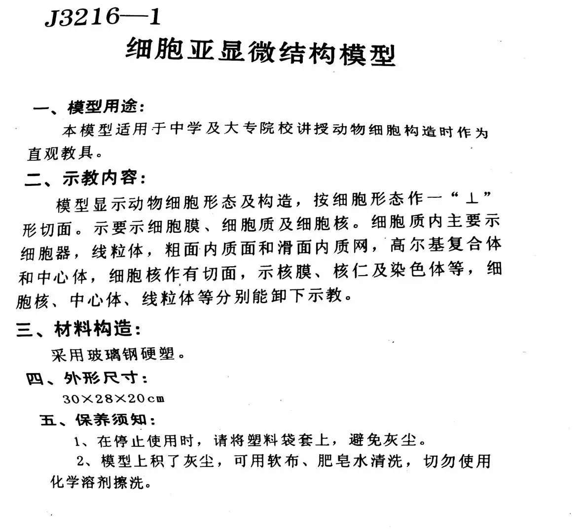 4D модель анатомического скелета животных мерная игрушка научное учебное