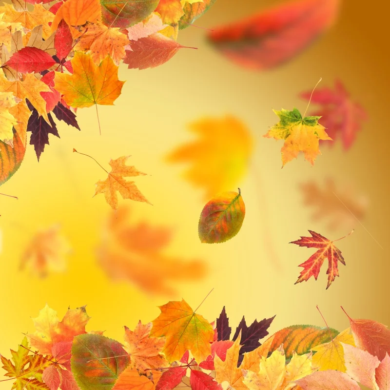 Laeacco кленовый желтый светильник в горошек Bokeh Fallen Leave детский портрет осень фото фон фотография Фон Фотостудия - Цвет: NWH04293