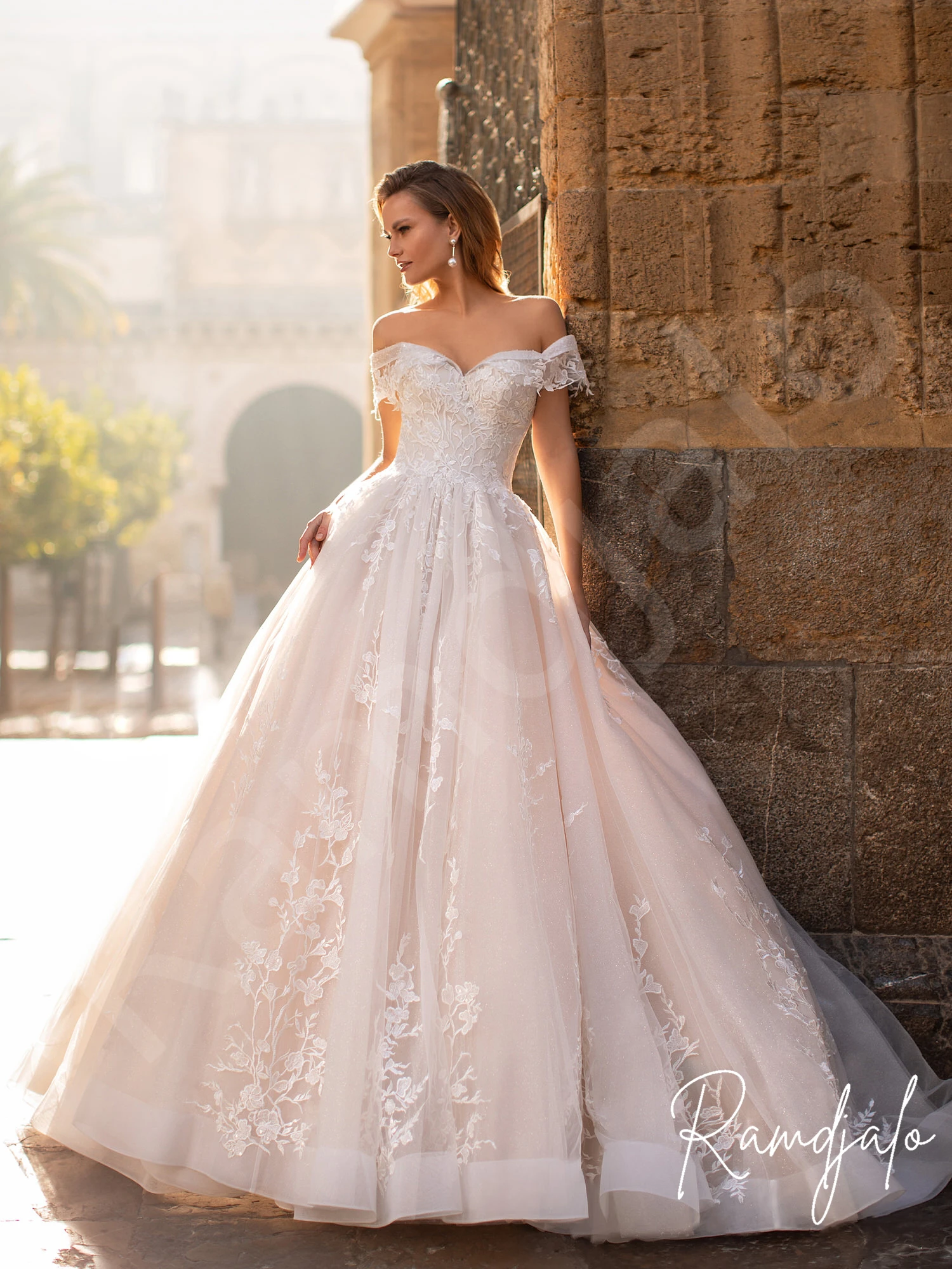 

Wedding Dresses Ball Gown Champagne Petal Lace Appliqued Tulle Corset Church Princess 2021 Bridal Gowns Bride Novia Customize