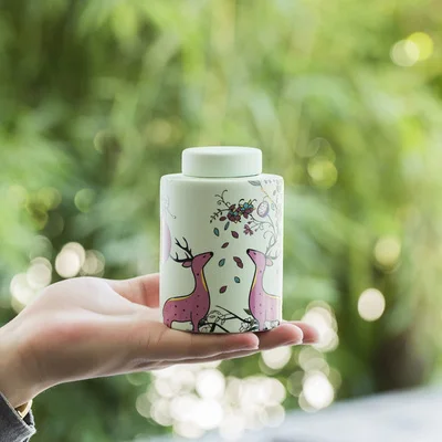 Ceramic Macaron Color Tea Pot Girl Series Flower Candy Storage Tank Sealed Jar Ceremony Accessories Teaware | Дом и сад