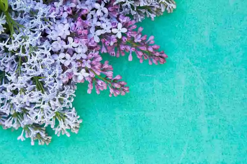 

SHENGYONGBAO Art Fabric Custom Photography Prop Flower Wood Planks theme Photo Studio Background S191025-2817