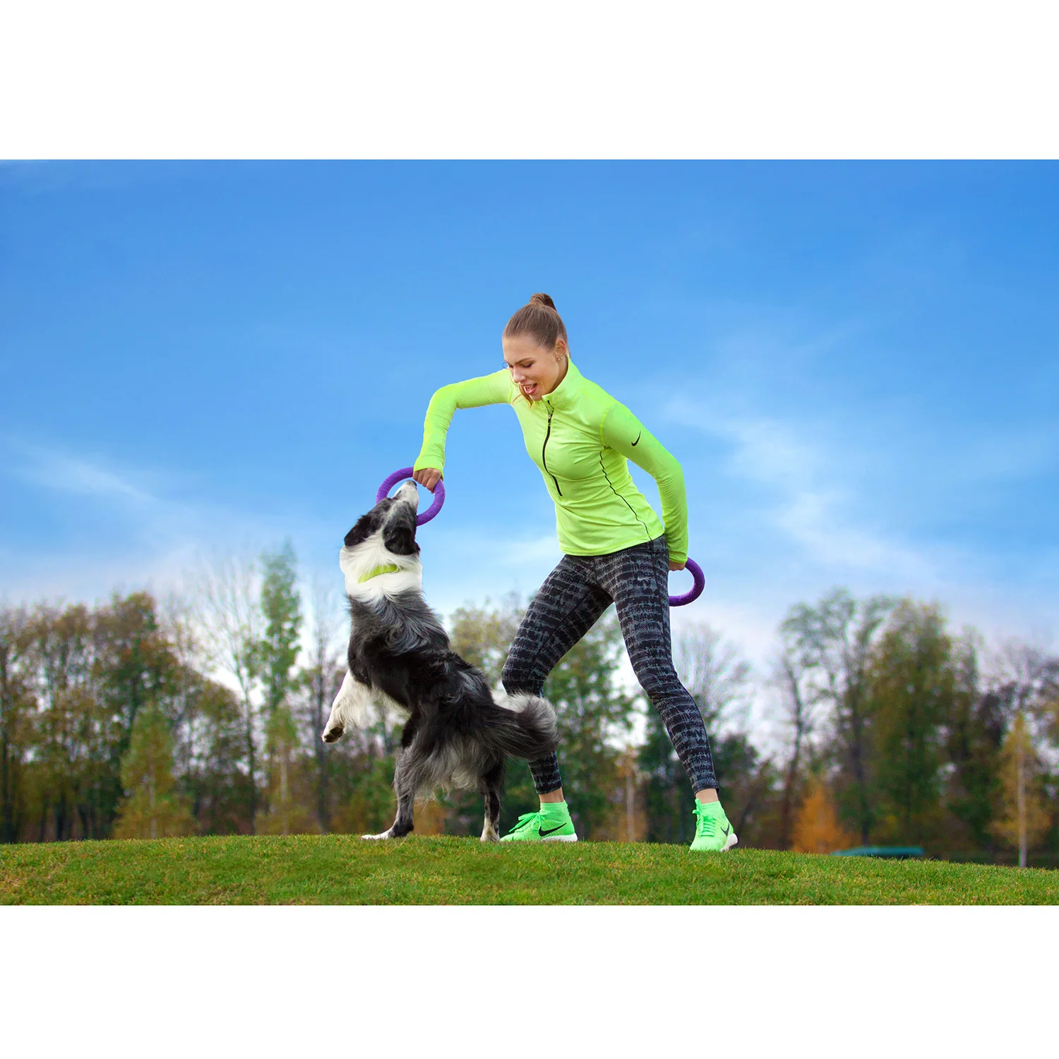 Игрушка PULLER (Пуллер) Midi для собак средних пород профессиональный тренировочный