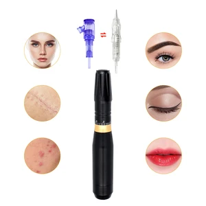 BMX HP100 машина для перманентного макияжа Профессиональный набор для татуажа бровей губ с 3 биомазером картридж 3D Microblade Tatto Gun