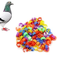 100pcs creative poultry leg rings pigeon training tools plastic solid color bird foot clip animal supplies