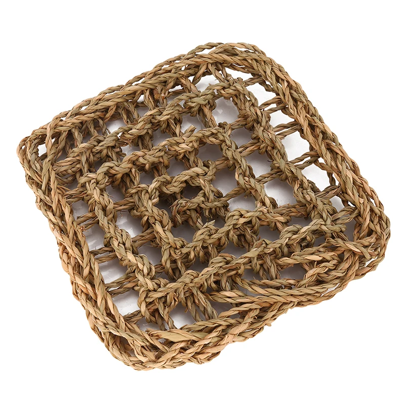 Маленькие крабы отельники гекконы кровати коврики морские водоросли ящерица