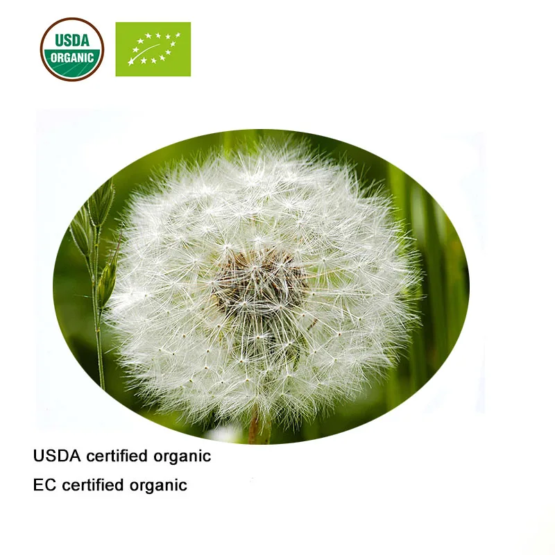 

USDA and EC Certified Organic dandelion extract 10:1