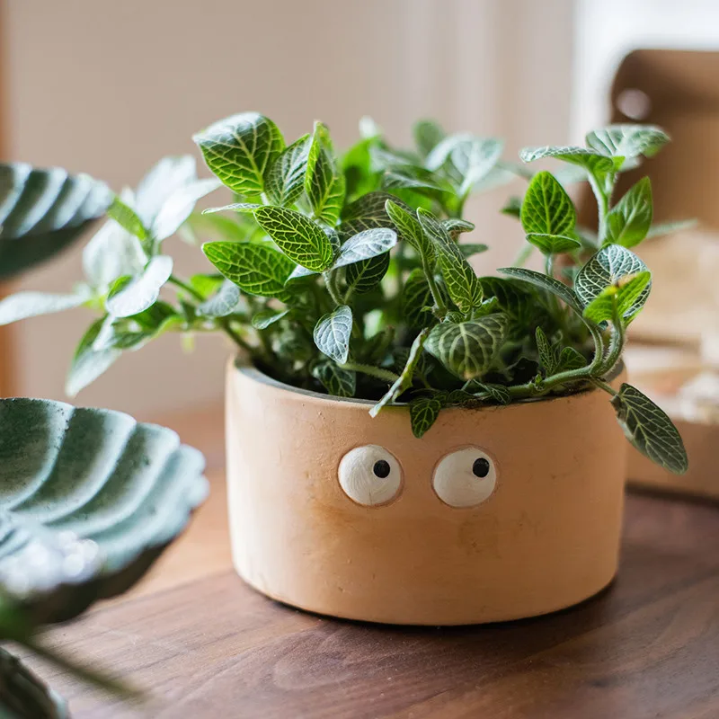 Милый маленький цветочный горшок цемент с большими глазами для офиса планшетов
