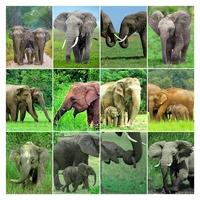 animal elephant 5d diy full square and round diamond painting embroidery cross stitch kit wall art club home bedroom decor