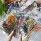 Серия декоративных наклеек для магазина выходных цветов, этикетки для скрапбукинга, дневник, канцелярские принадлежности для альбома, винтажные наклейка с изображением растений