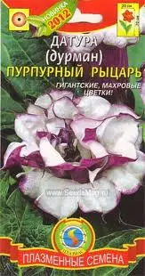 Дурман Пурпурный рыцарь 4шт /10 (цена за один пакет) | Дом и сад