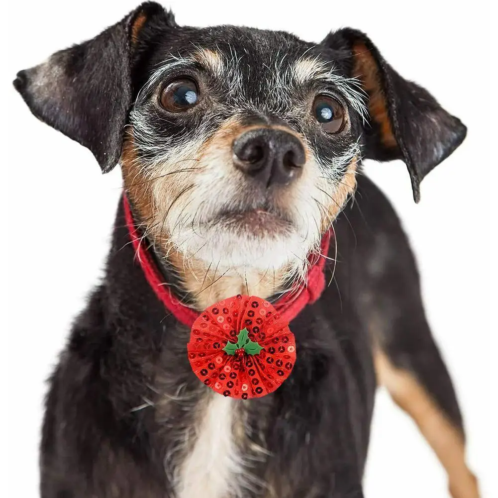 

Рождественские товары для домашних животных, ошейник для собак, аксессуары для домашних питомцев, тройной ошейник, аксессуары для ухода за ...