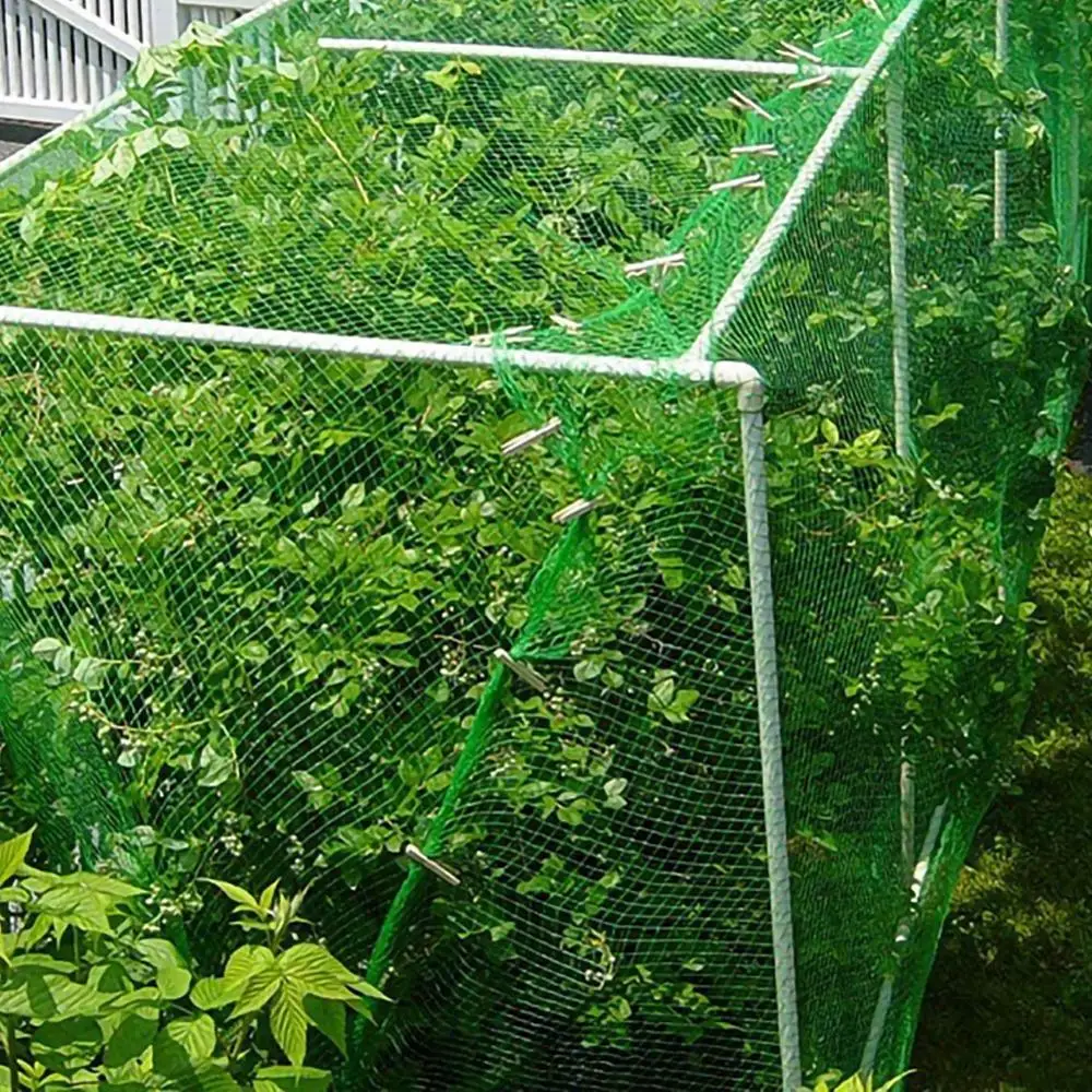 

Plastic Anti Bird Netting Pond Net Protection Crops Fruit Tree Vegetables Flower Garden Mesh Protect Gardening Pest Control